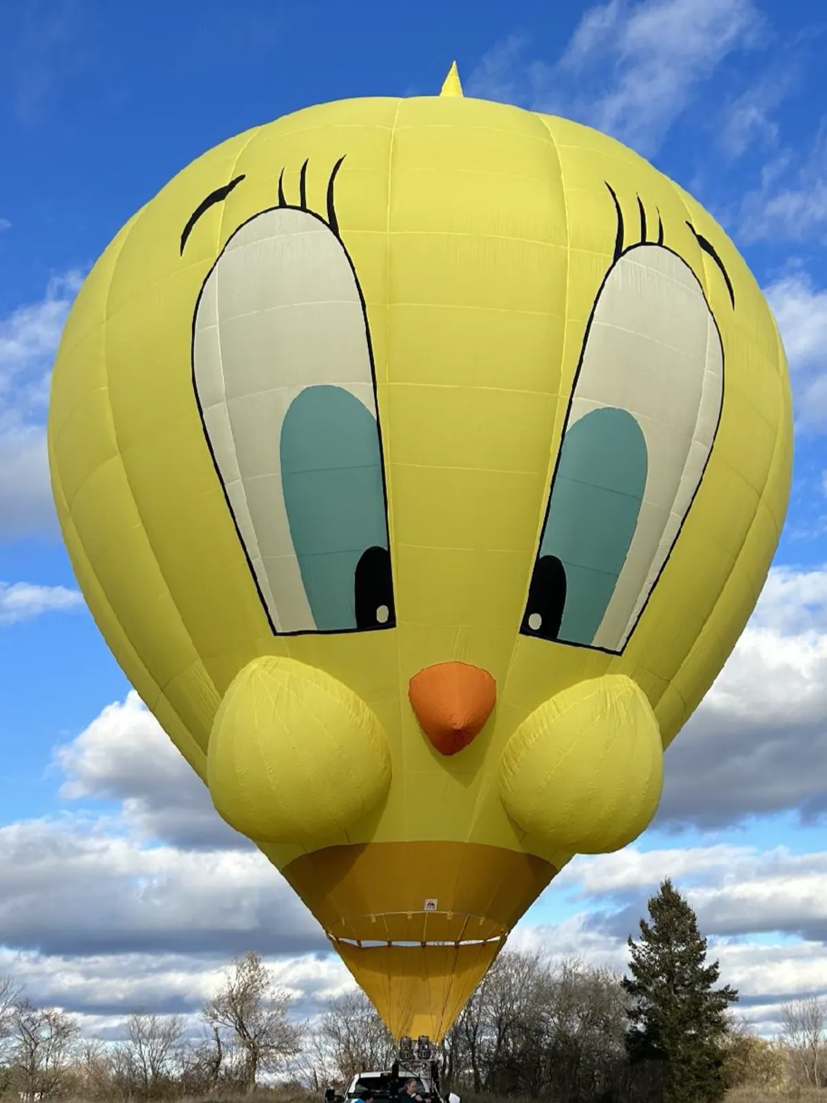 Yellow Bird - Chuck Walz