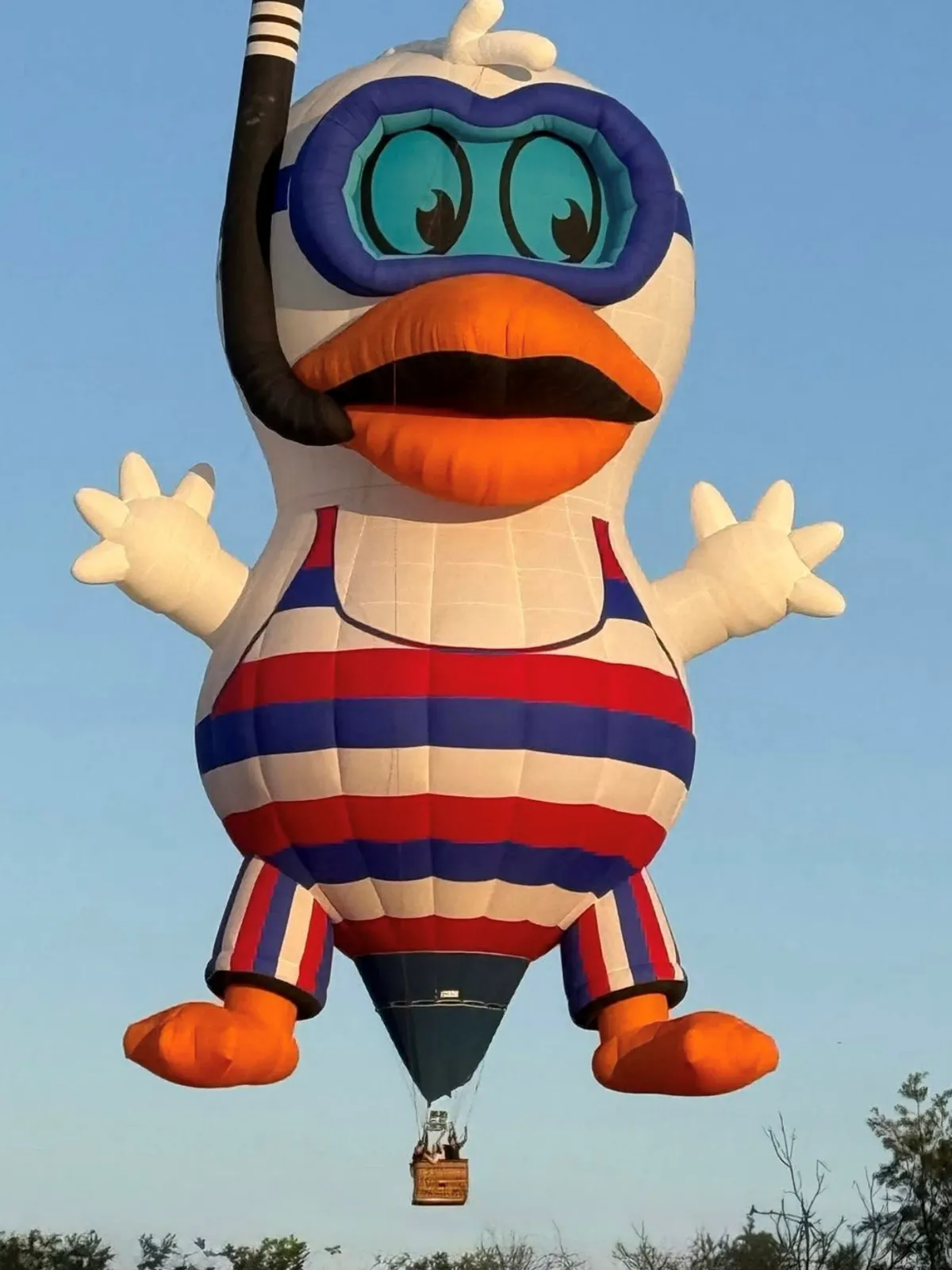 Splash Duck - Derrick Jones