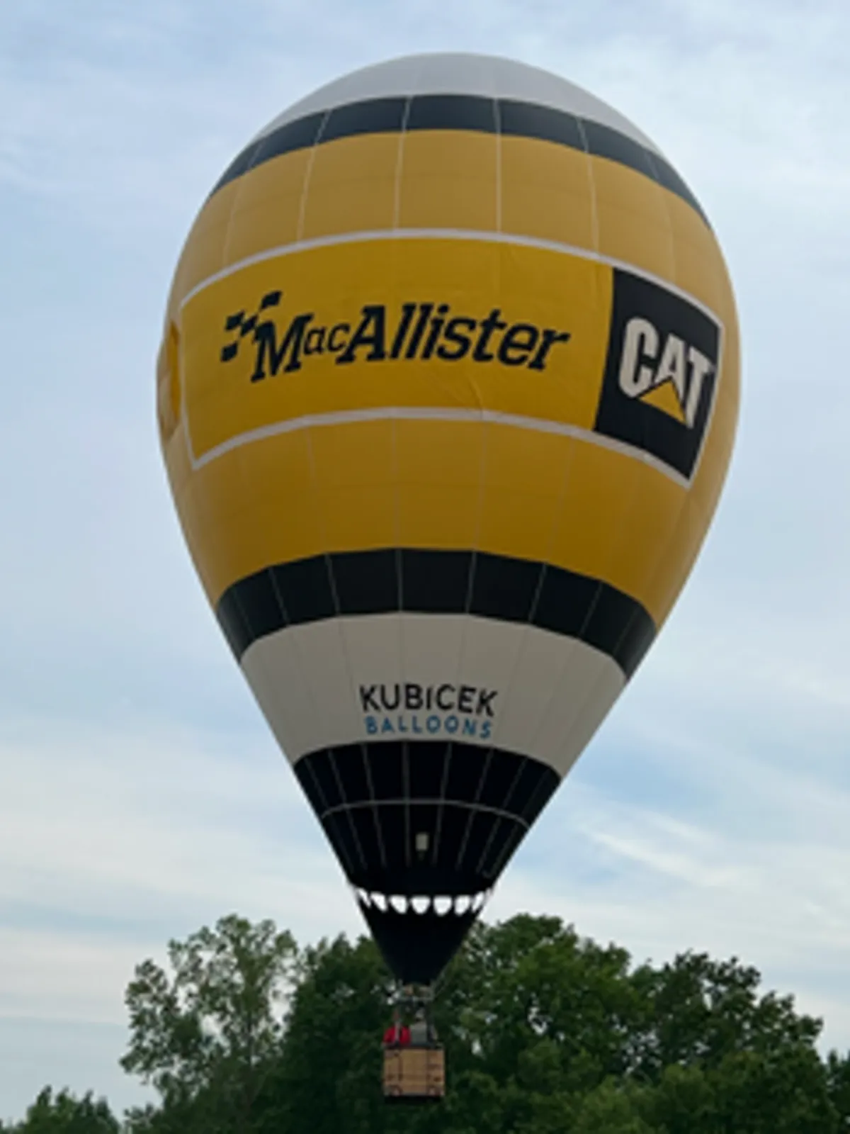 MacAllister Cat - Rick Kerber